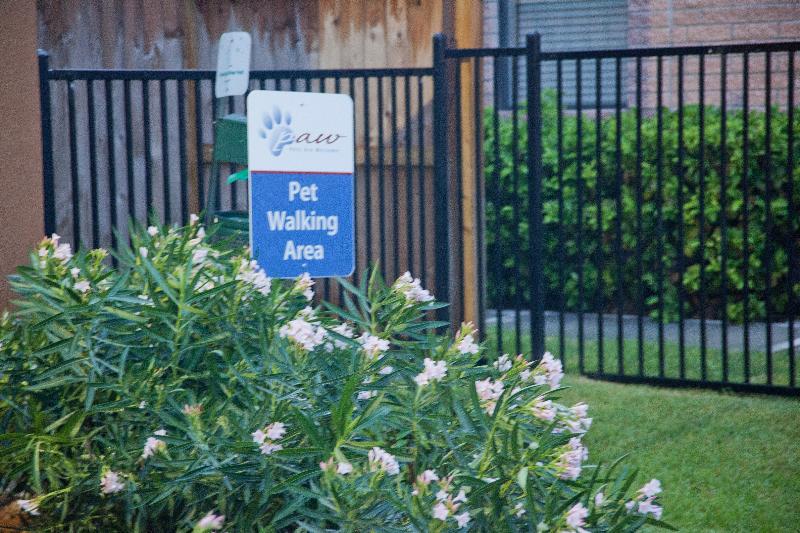 Hotel Extended America - Houston - - I-10 2*